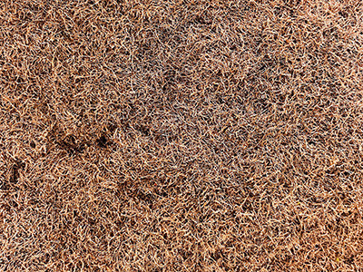 Loose copper-colored machining chips